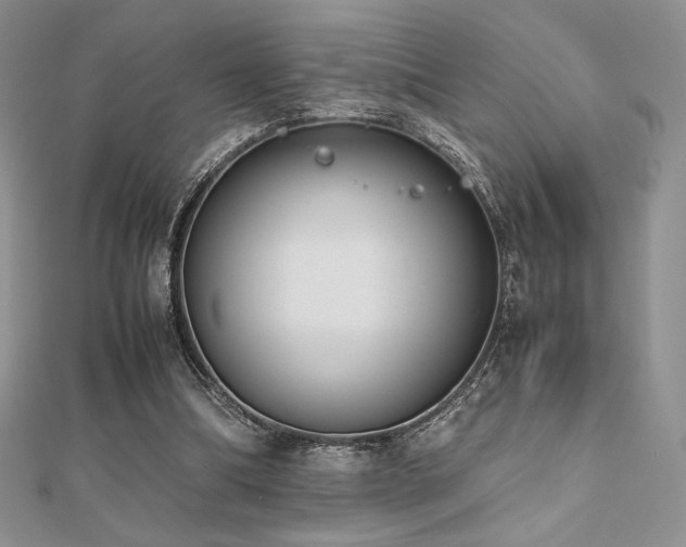 X0000112530298200908171427