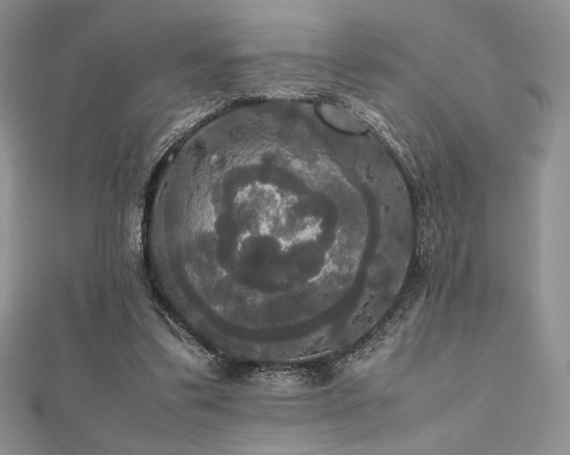 X0000112530299200908171427