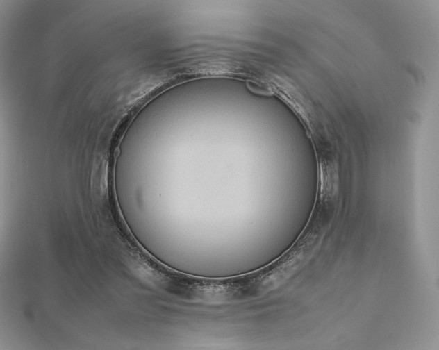 X0000112530301200908171427