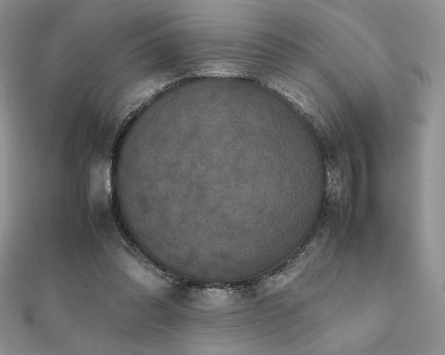 X0000112530302200908171427