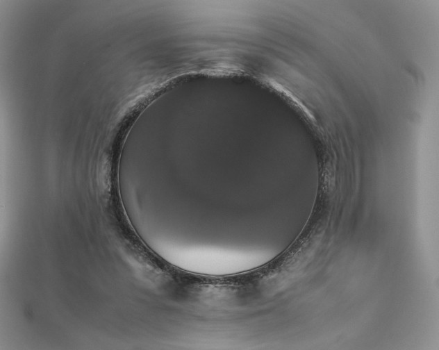 X0000112530303200908171427