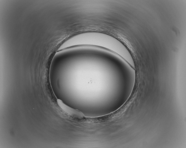 X0000112530305200908171427