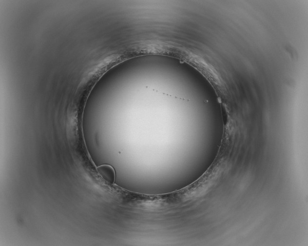 X0000112530306200908171427