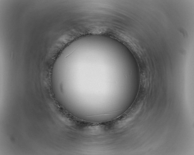 X0000112530307200908171427