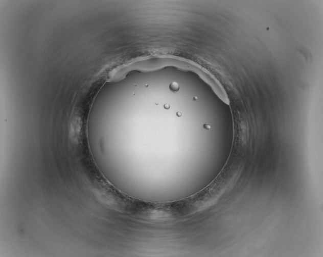 X0000112530308200908171426