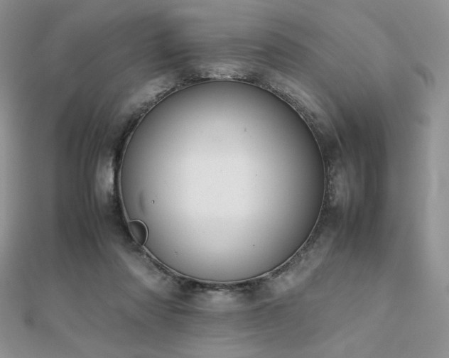 X0000112530310200908171426