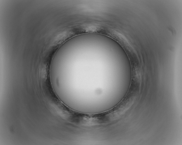 X0000112530311200908171426