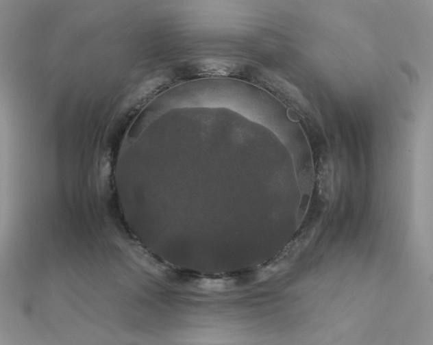 X0000112530314200908171426