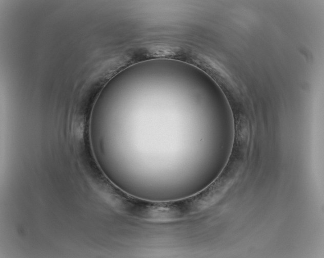 X0000112530315200908171426