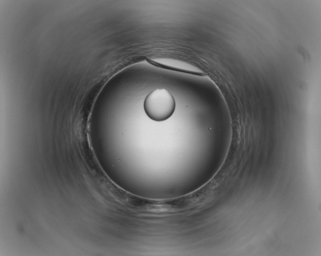X0000112530316200908171426