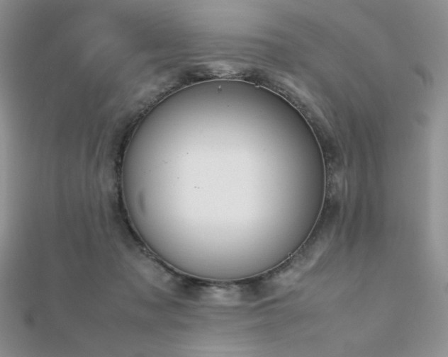 X0000112530317200908171426