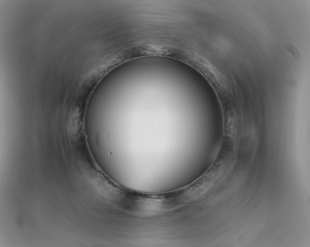 X0000112530318200908171426