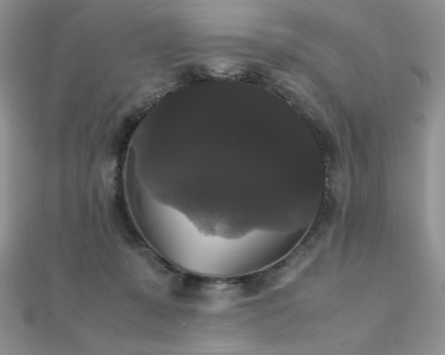 X0000112530319200908171426