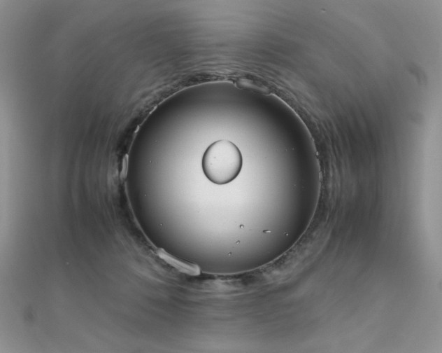 X0000112530320200908171426