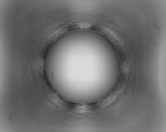 X0000112530321200908171426
