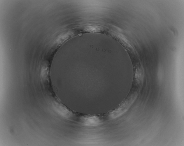 X0000112530322200908171426
