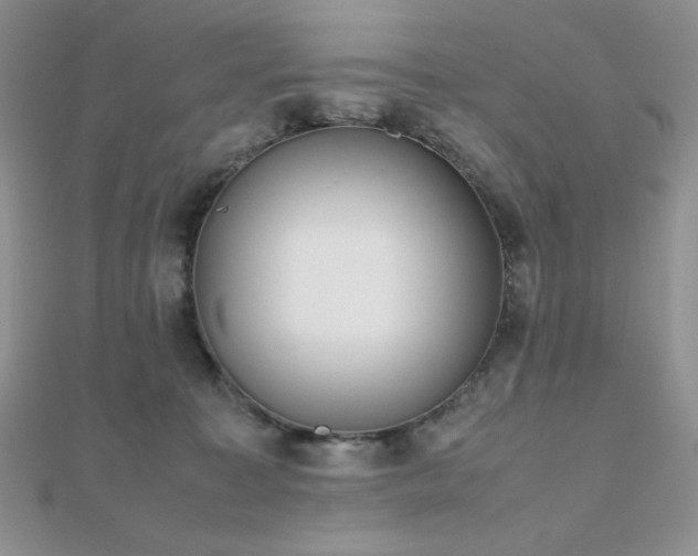 X0000112530323200908171426