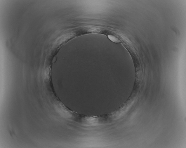 X0000112530325200908171426