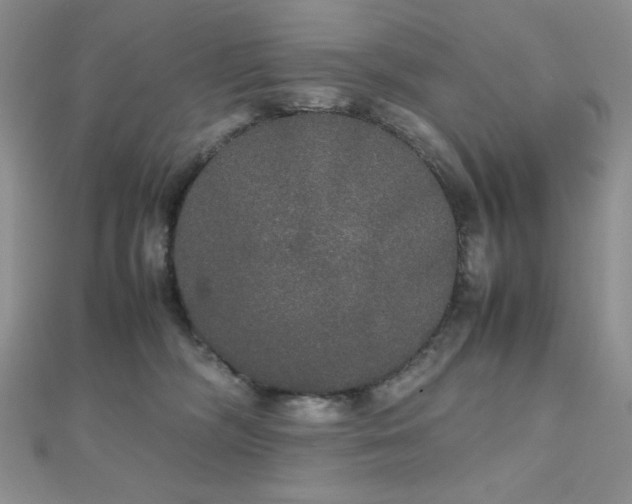 X0000112530326200908171426