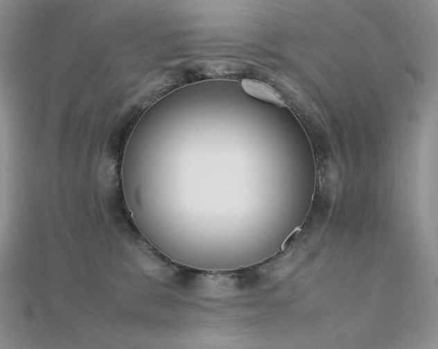 X0000112530327200908171426