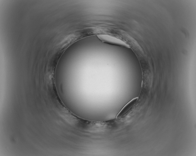 X0000112530329200908171426
