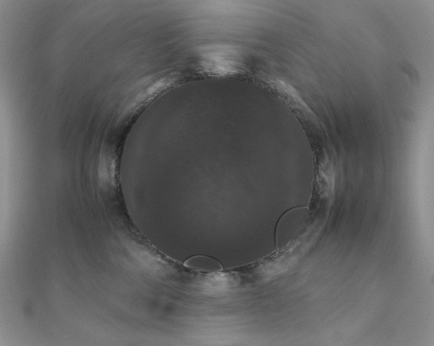 X0000112530330200908171426