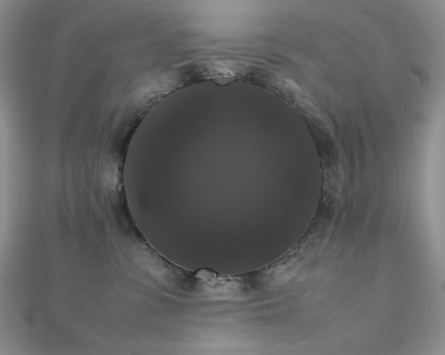 X0000112530331200908171426