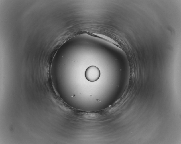 X0000112530332200908171426