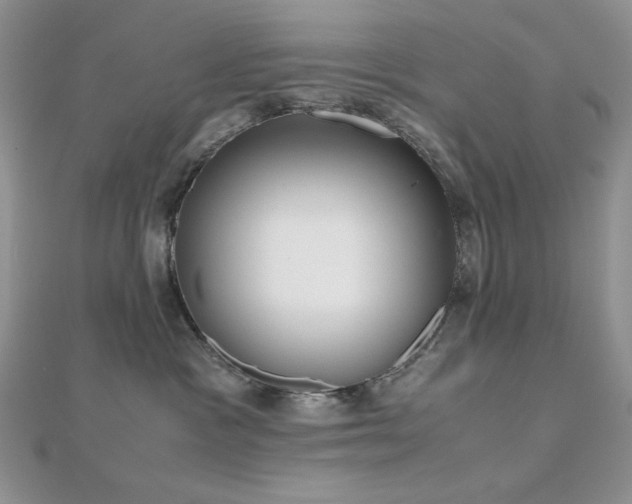 X0000112530333200908171426