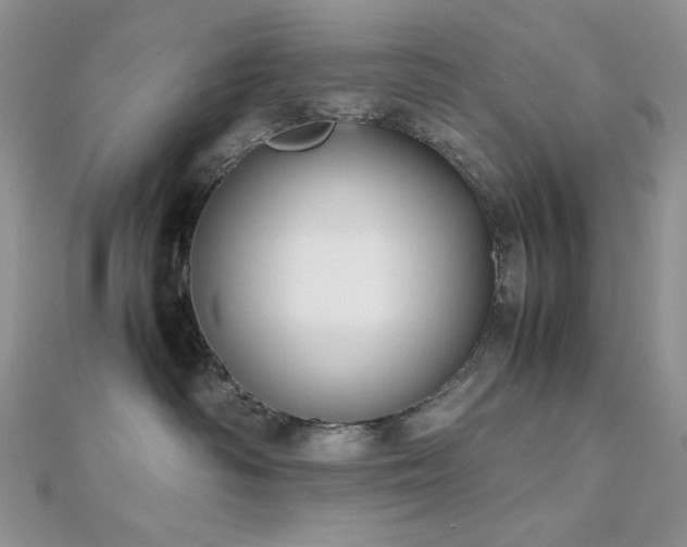 X0000112530334200908171426