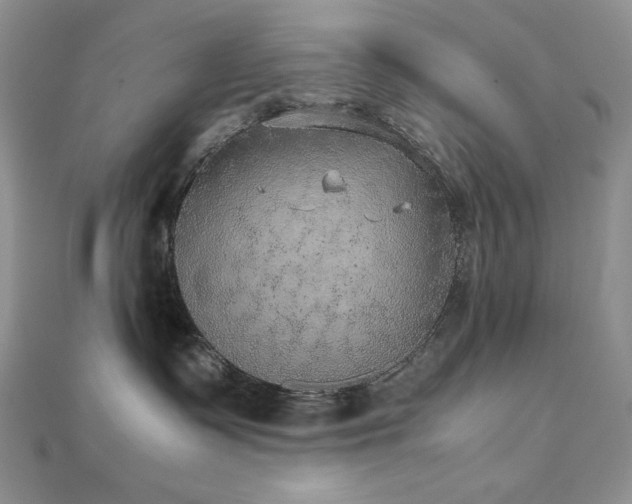 X0000112530335200908171426