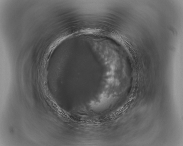 X0000112530337200908171425