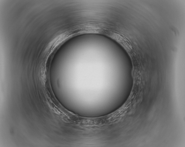 X0000112530338200908171425