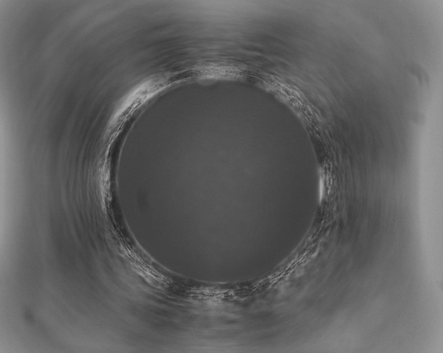 X0000112530339200908171425