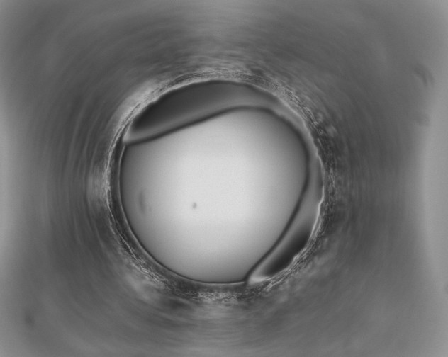 X0000112530340200908171425