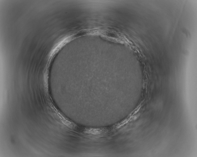X0000112530341200908171425