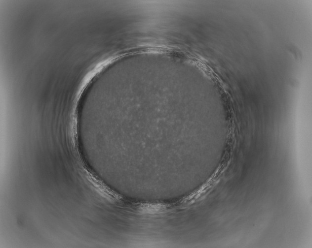 X0000112530342200908171425