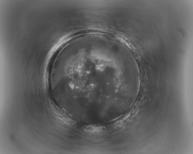 X0000112530343200908171425