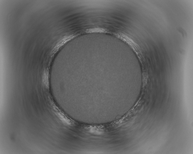 X0000112530345200908171425