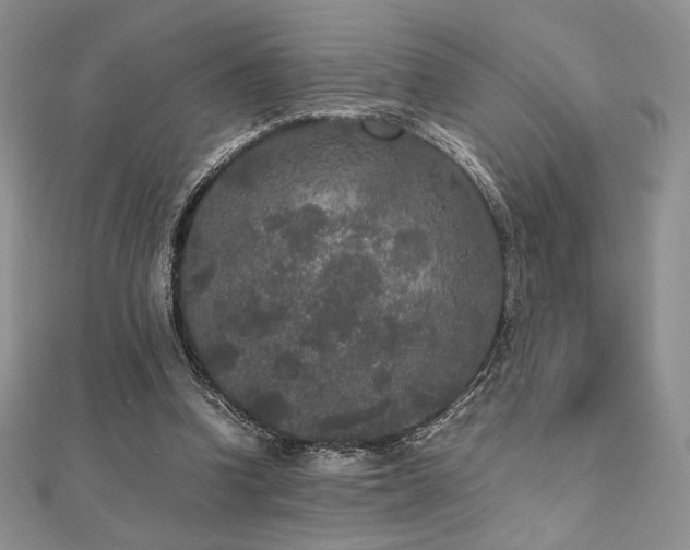 X0000112530346200908171425