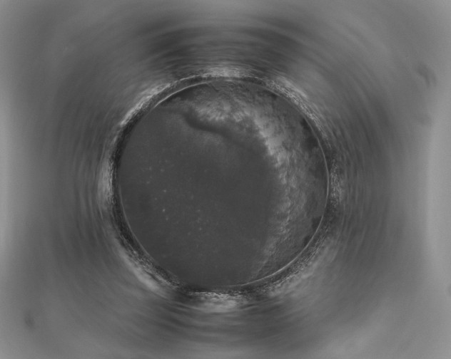 X0000112530347200908171425