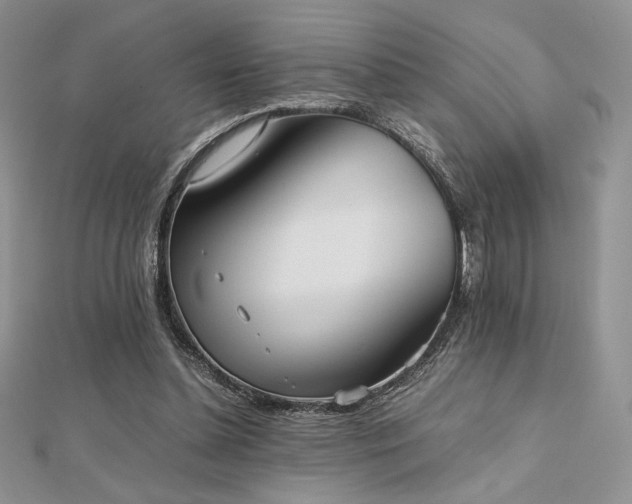 X0000112530348200908171425