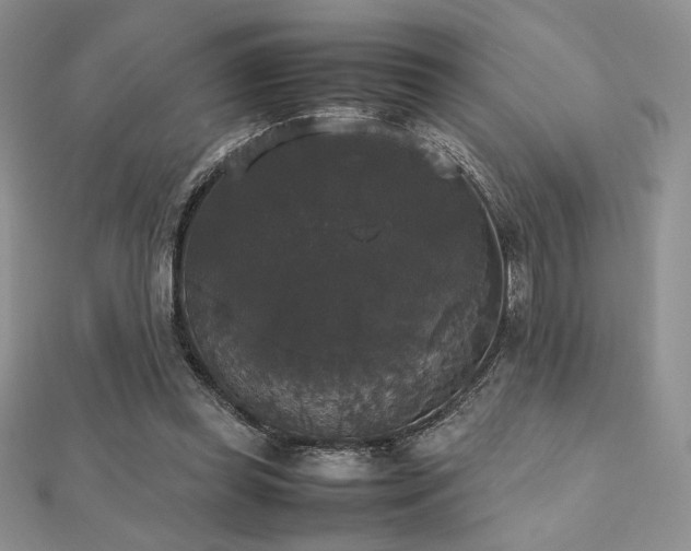 X0000112530349200908171425