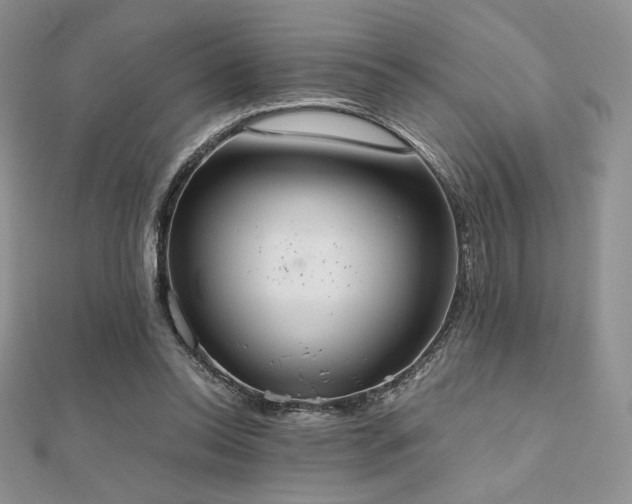 X0000112530350200908171425