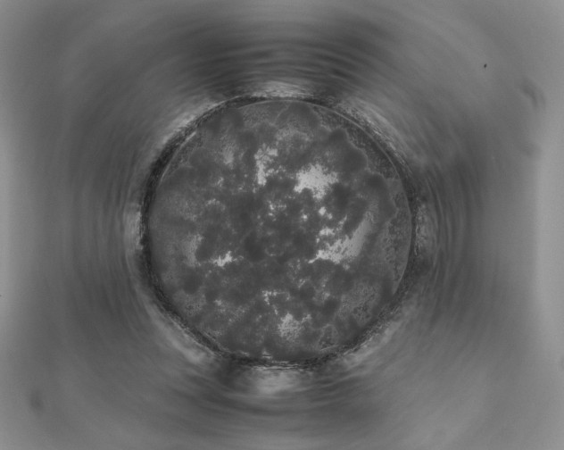 X0000112530351200908171426