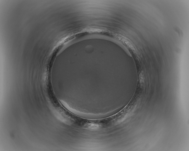 X0000112530352200908171426