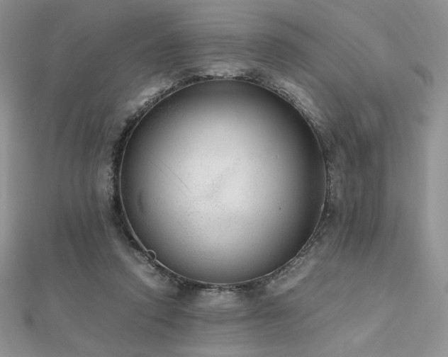 X0000112530354200908171426