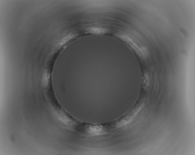 X0000112530355200908171426