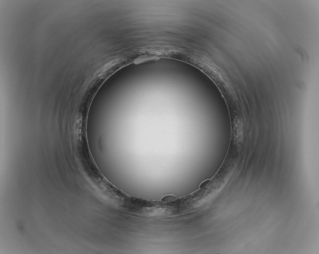 X0000112530356200908171426