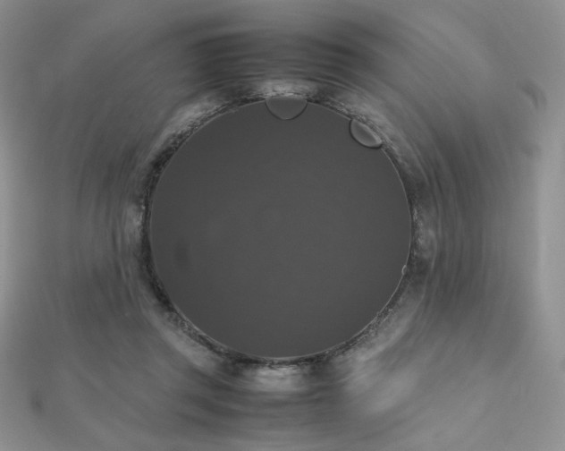 X0000112530357200908171426